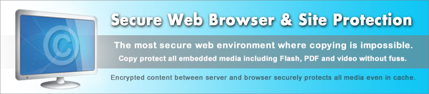 Protección de Sitio Web y Navegación Web Segura